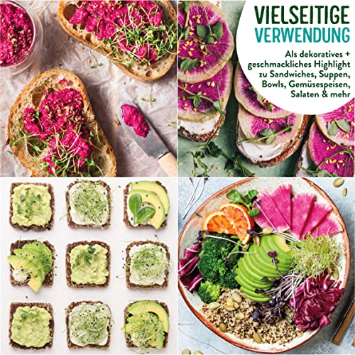 valeaf BIO Microgreens Anzuchtset I Starter Kit zur Sprossen Samen Anzucht I Microgreens Anzucht Sprossensamen I Sprossen Set zum Sprossen selber Züchten I Mikrogrün Samen