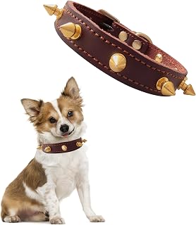 Colliers à Pointes pour Chien Et Chat - Souple Cuir Chien Laisse Punk - Réglable - Rivet Clouté - avec Pointes - Convient aux Chiens de Petite Taille - XS