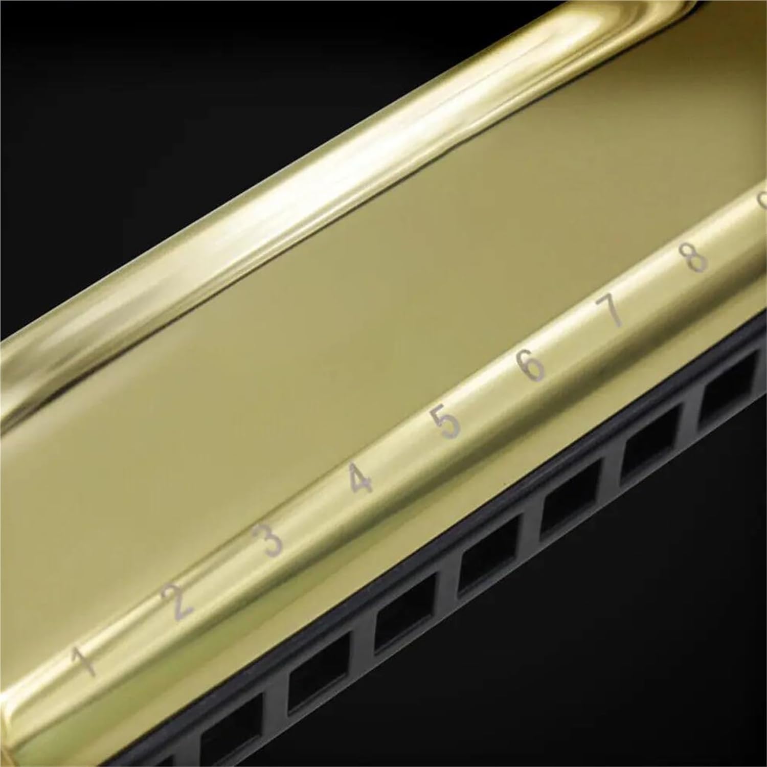 バンドハーモニカ Gメジャープロフェッショナル10穴20音ハーモニカ楽器(Silver)