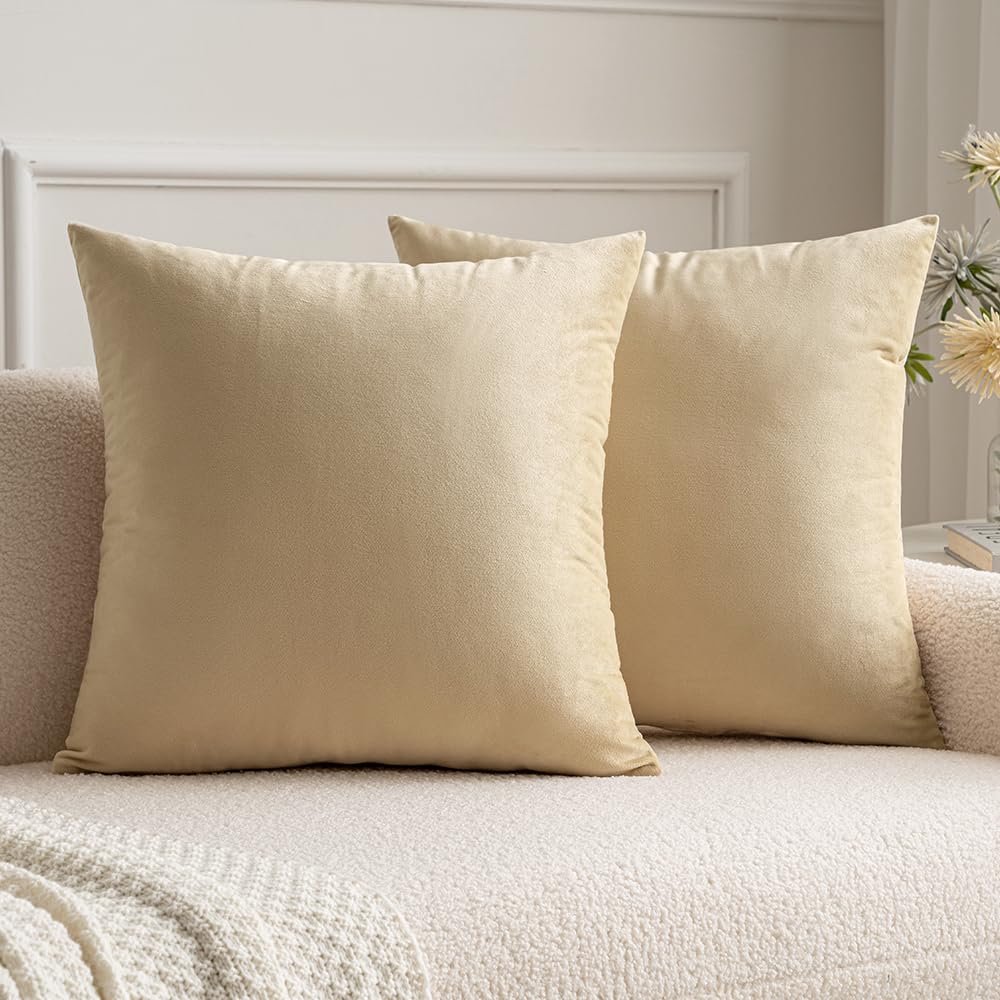 MIULEE Federe Cuscini Arredo Divano Copricuscini Soggiorno Federe Arredamento Casa Moderni Elegante Morbido Resistente in Velluto con la Cerniera Invisibile 2 Pezzi 50x50 CM Beige