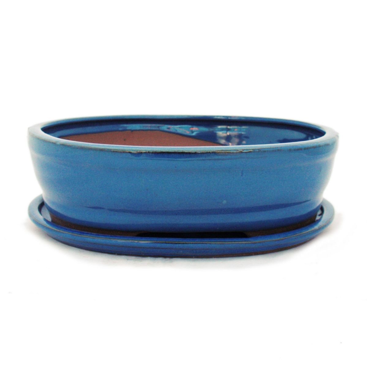 Bonsai pot avec soucoupes - 4 bleu taille o7 modèle ovale-longueur 26 cm-b 21 cm-hauteur : 7,5 cm