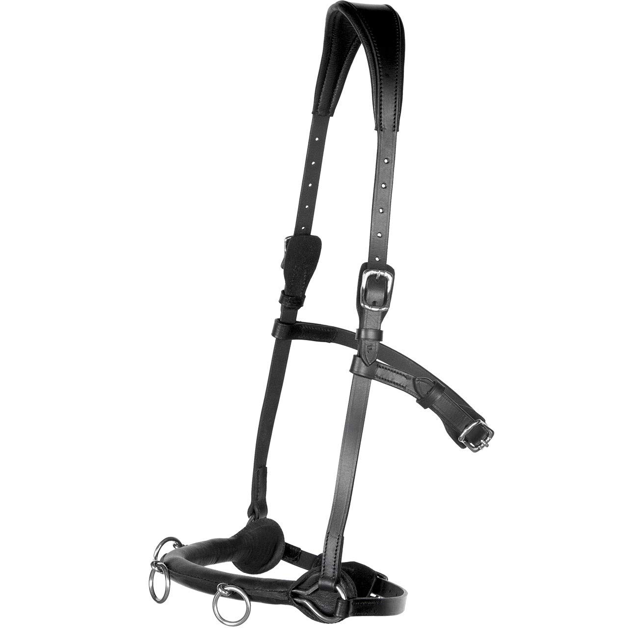 Französicher Profi Leder KAPPZAUM ~ Cavecon Cavesson ~ Schwarz WB VB Kappzaumgröße Warmblut/Full
