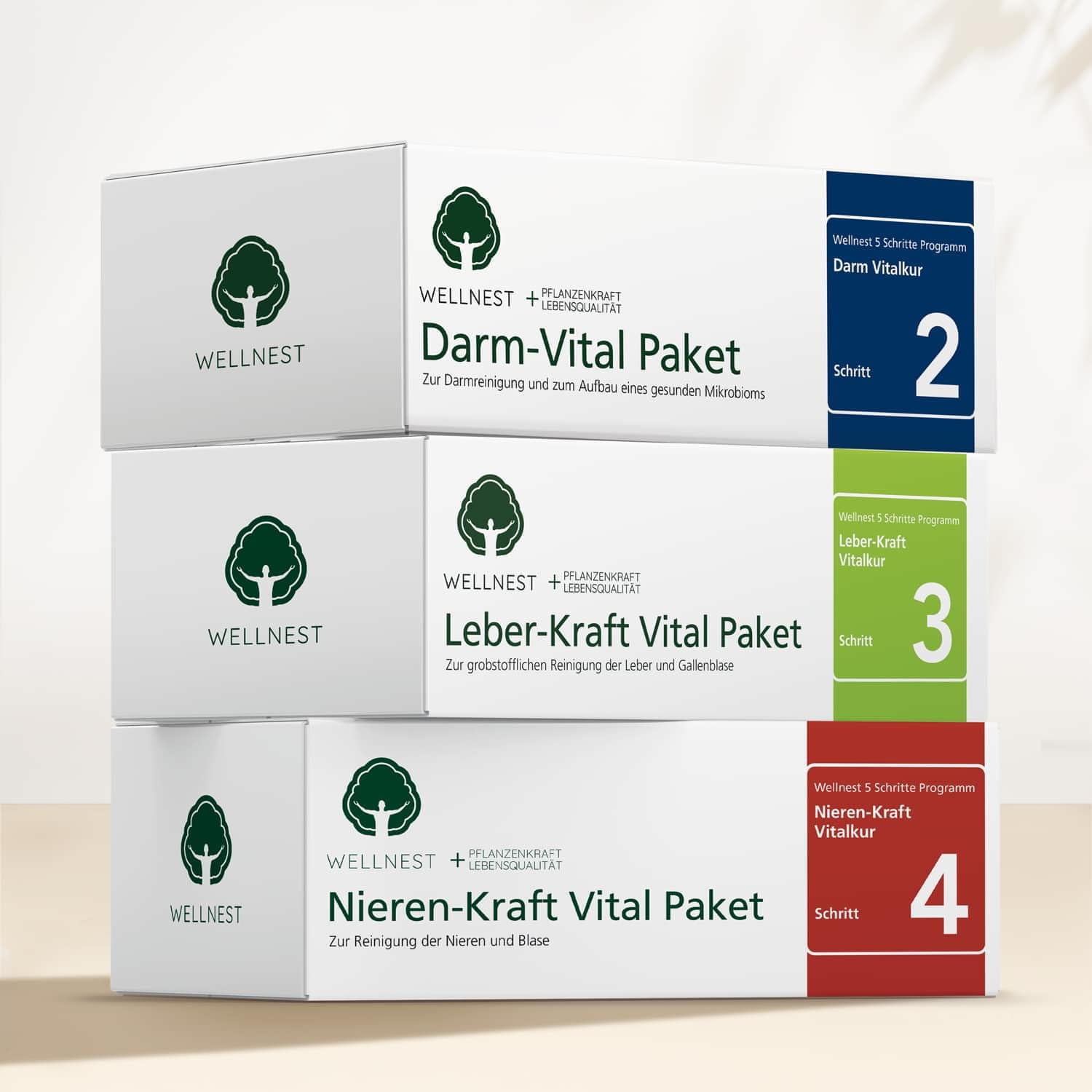 Nieren-Kraft Detox-Kur-Paket (Entgiftungs-Kurpaket für 30 Tage Nierenreinigung nach Hulda Clark) - 100% pflanzlich - einfache Handhabung inkl. Magazin