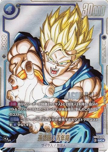 hS{[J[hQ[t[W[h сFN(SB02-026)iARpj MANGA BOOSTER 02iDB-SB02j SB02-026