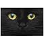 ALAZA Cute Black Cat Closeup Jigsaw Puzzles for Adults 1000 Pieces Puzzle Buffalo Games