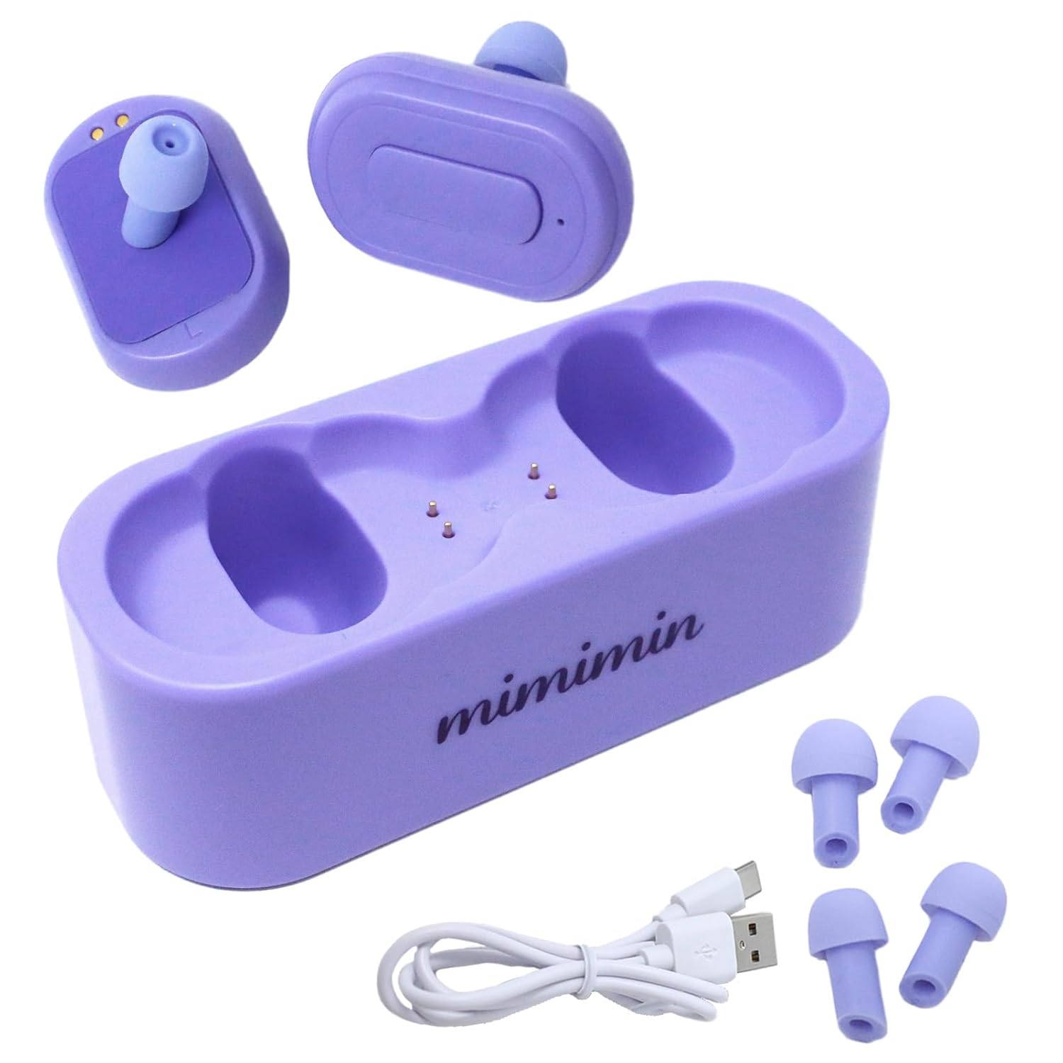 現代美術 ポール・ヴンダーリッヒ『Paul halt`s Maul』0603E 現代美術