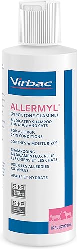 Miniatura 4 de Allermyl Piroctone Olamine - Champú medicado para mascotas, champú hipoalergénico para perros y gatos, champú calmante e hidratante para perros para