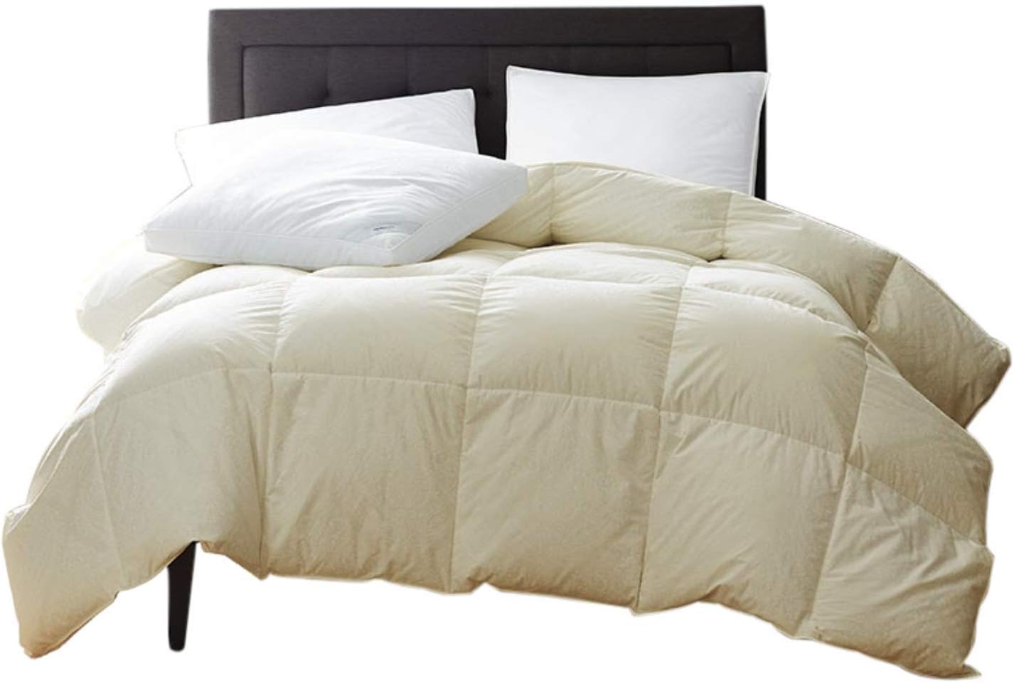 New York Mercado 100% Organic Cotton Comforter Luxury and Premium Quality Quilted with Corner Tabs 500 GSM GOTS Certified 800 TC All Season Warm Fluffy Ultra-Soft Comforter King/Cal-King, Ivory