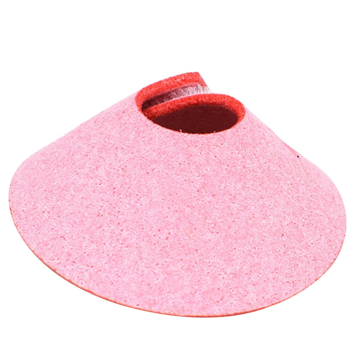 TOGEVAL 2pcs Pet Parrot Toys Bird Accessories for Cages Parrot Cone Collar Bird Biting Collar