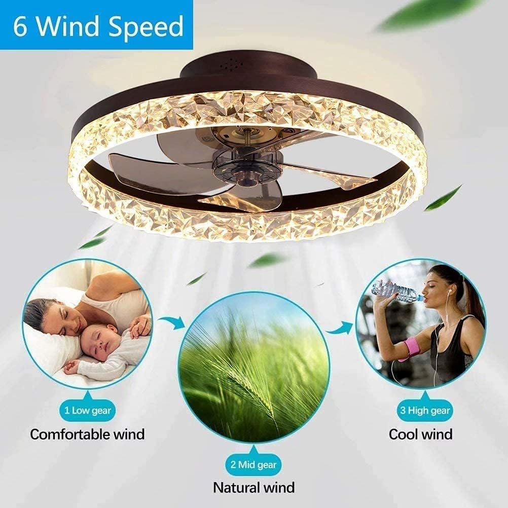 Ceiling Fan with Lights, Remote Control Dimmable, Color Temperature/Speed/Timing Adjustment, Household Indoor Fan Chandelier for Home (Color : Black)
