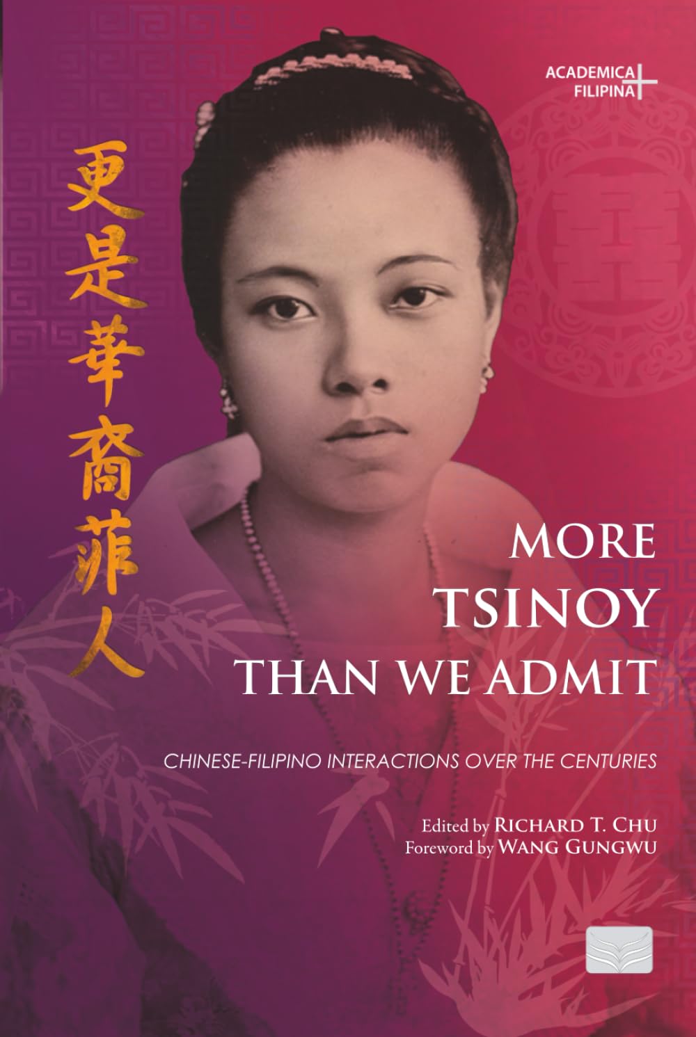 More Tsinoy Than We Admit: Chinese-Filipino Interactions Over Centuries (Academica Filipina +)