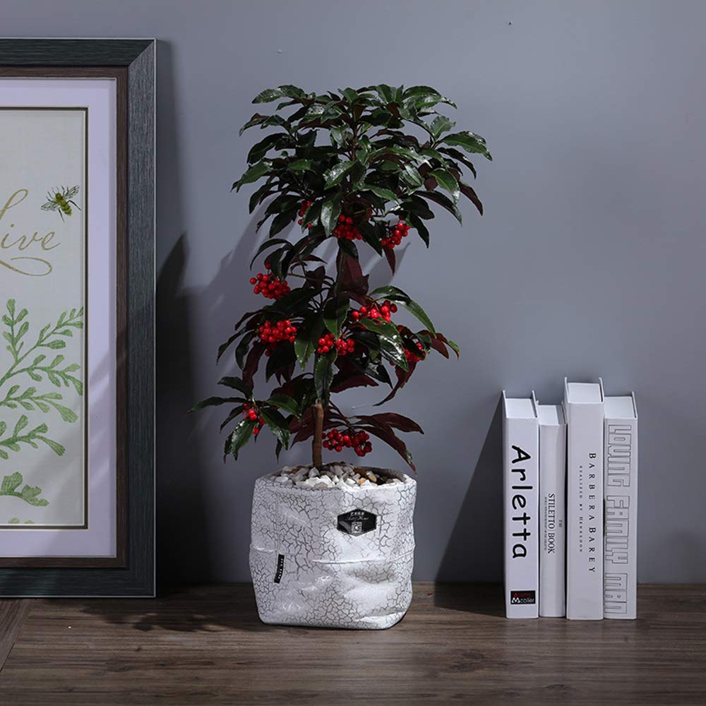Styl prosta duża ceramiczna doniczka do sadzenia wewnątrz kaktus doniczka srebrna pęknięcie ziarna sukulent doniczka na zewnątrz kwiat ogród ceramika doniczki - 19 * 15,5 cm