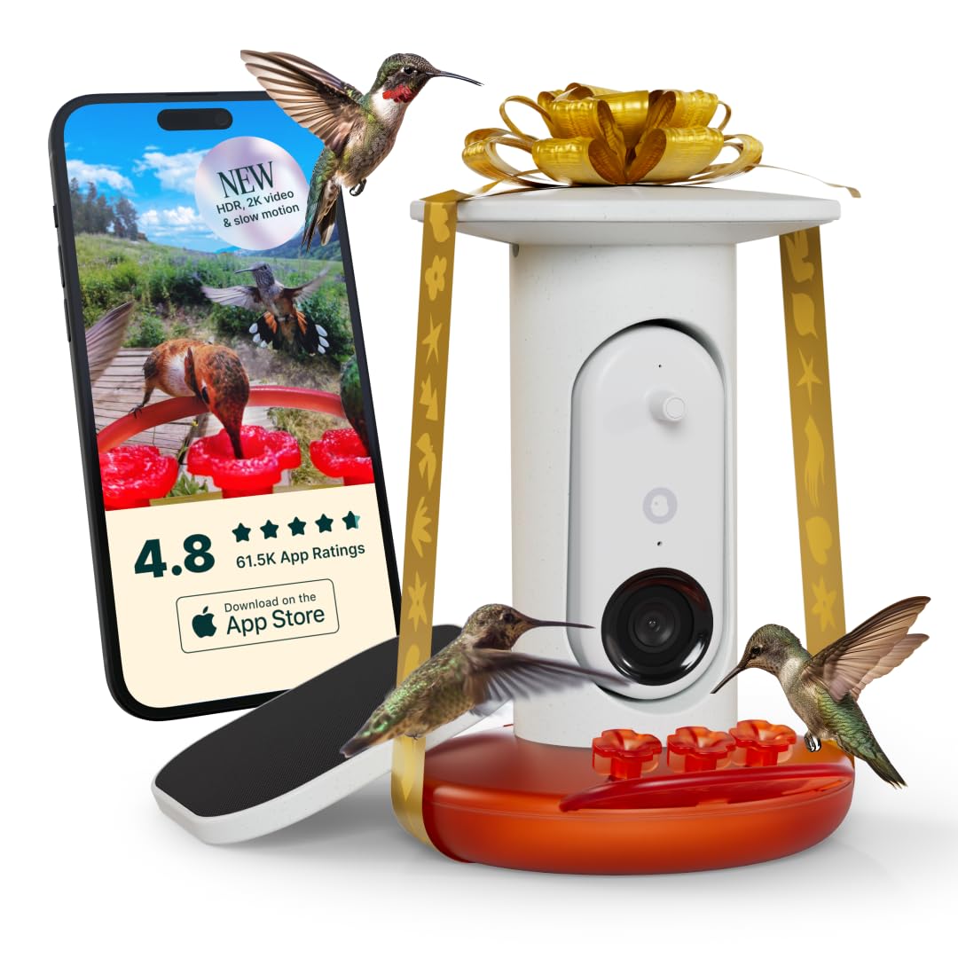 Amazon.com : Birdbuddy Smart Solar Pro Hummingbird Feeder with