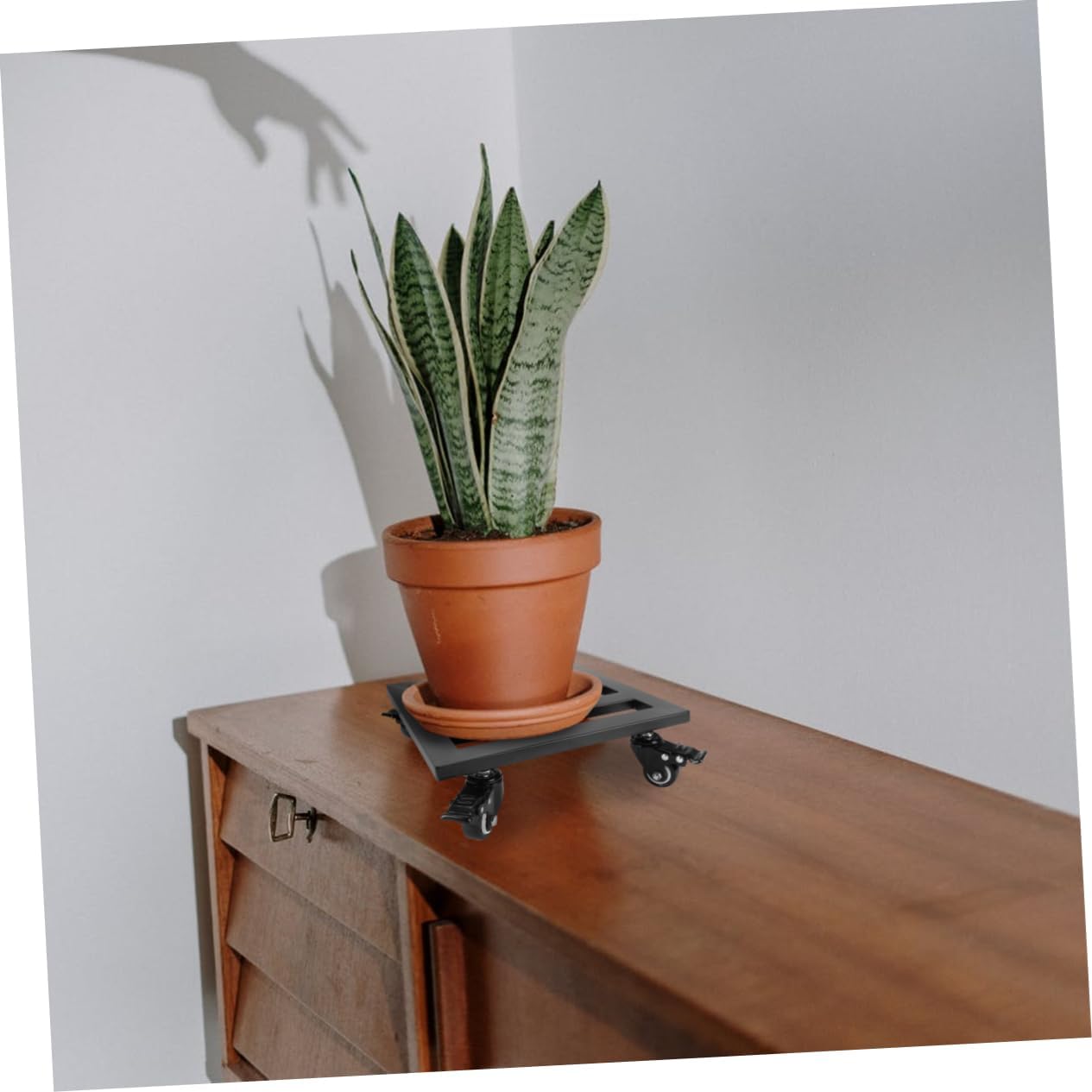 Iron Plant Dolly Rolling Wheels Heavy Duty Plant Stand for Indoor and Outdoor Use Black Metal Flower Pot Tray Design for Easy Mobility and Stability
