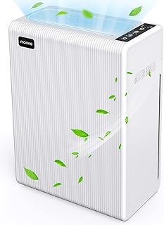 Air Purifiers for Home Large Room up to 1740ft², H13 HEPA Air Filter for Pets Hair Dander Smoke Pollen Dust, Ozone Free, Portable Air Purifiers for Bedroom Office Living Room, E-300L, White