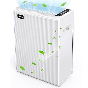 Air Purifiers for Home Large Room up to 969ft, H13 HEPA Air Filter for Pets Hair Dander Smoke Pollen Dust, Ozone Free, Portable Air Purifiers for Bedroom Office Living Room, E-300L, White