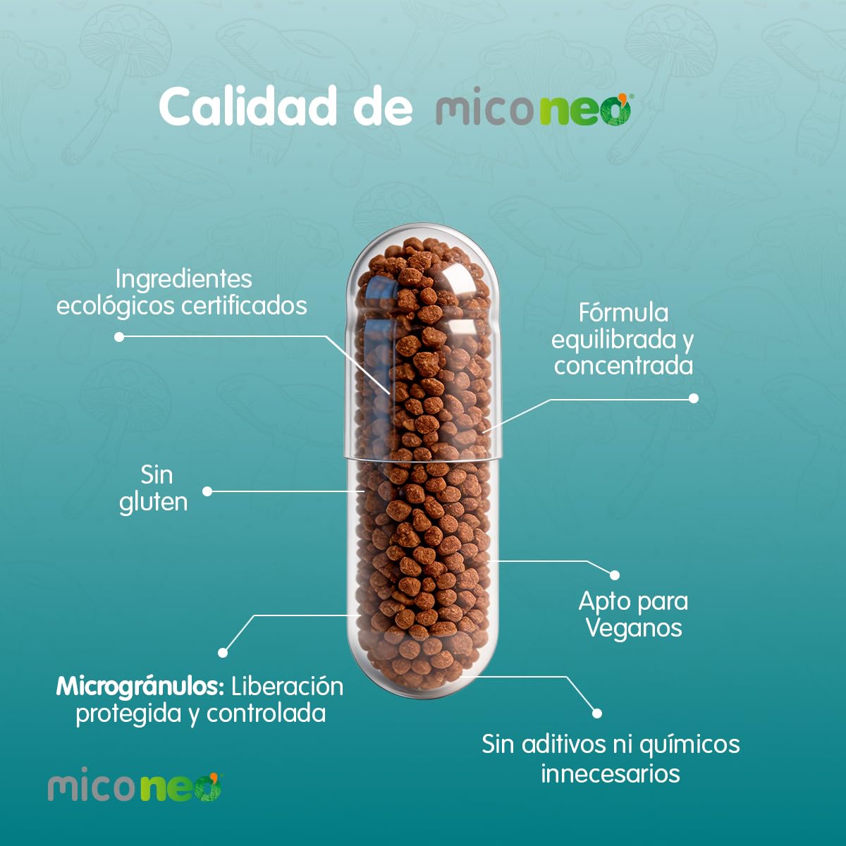 MICO NEO | INT | 60 Cápsulas | A Base de Achicoria, Shiitake, Melena de León y Seta de Cardo | Prebiótico Natural | Ayuda al Bienestar del Sistema Digestivo