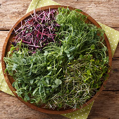 Microgreens Variety Pack (10 Varieties, 2 Lbs+, Cabbage, Broccoli, Beet, Radish, Kale, Collard, Mustard, Arugula, Mizuna, Kohlrabi #TOP3