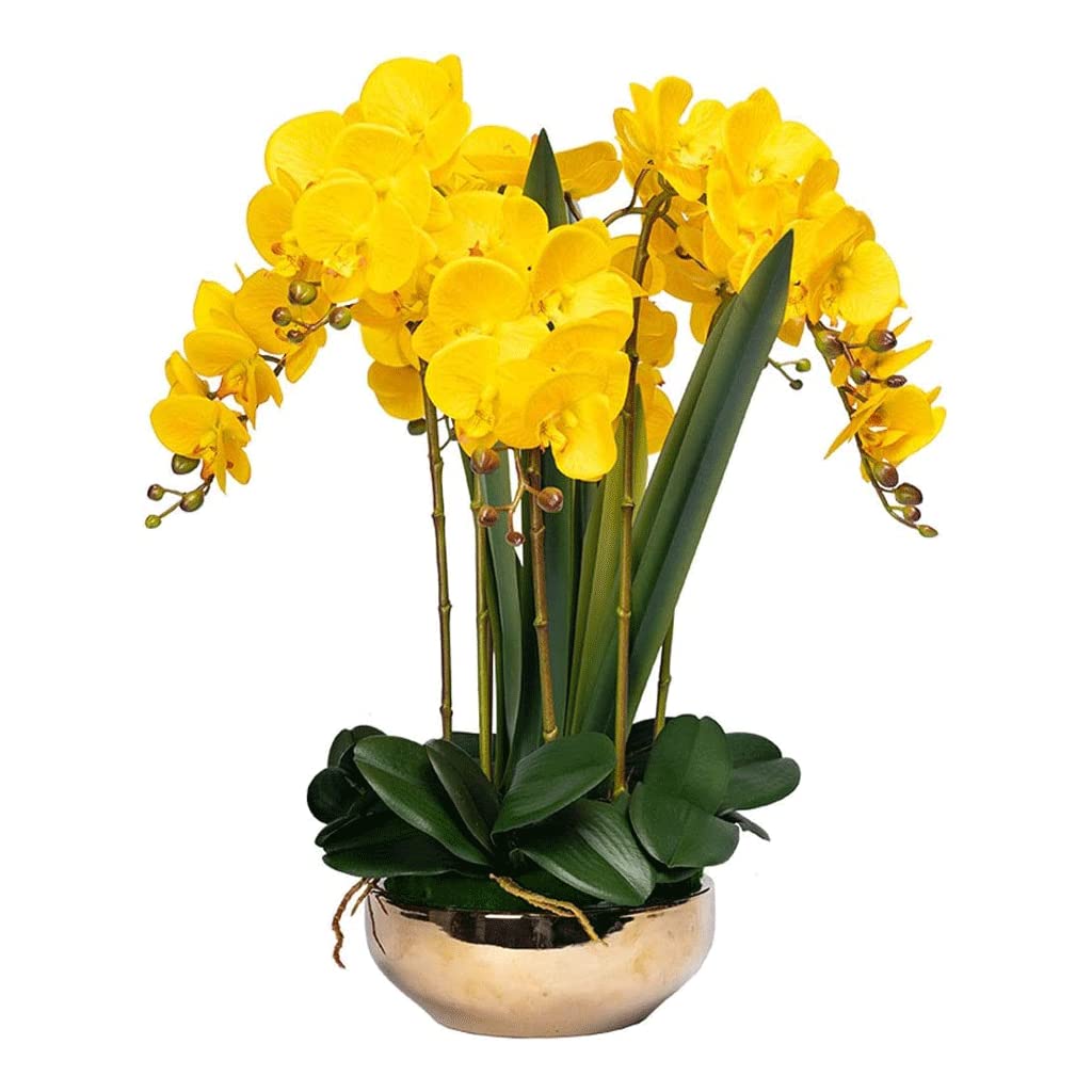 Orchidee Artificiali, 8 Teste, Fiori di Phalaenopsis Artificiali, Orchidee in Vaso, Piante Artificiali, Orchidee finte, Fiori Artificiali Classici, Aspetto Naturale