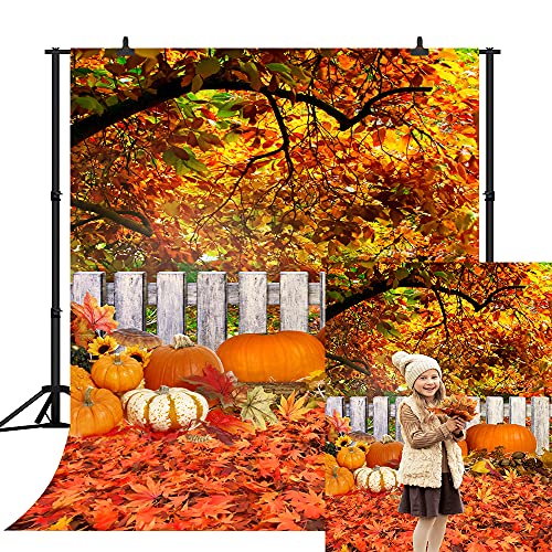 Our 10 Best Fall Photoshoot Backdrops – Top Product Reviwed