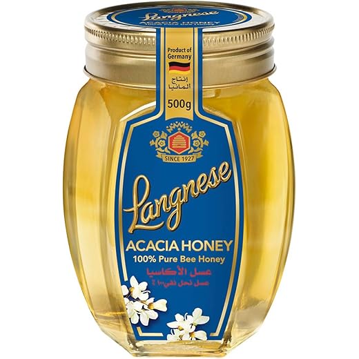 Langnese Honey 500g