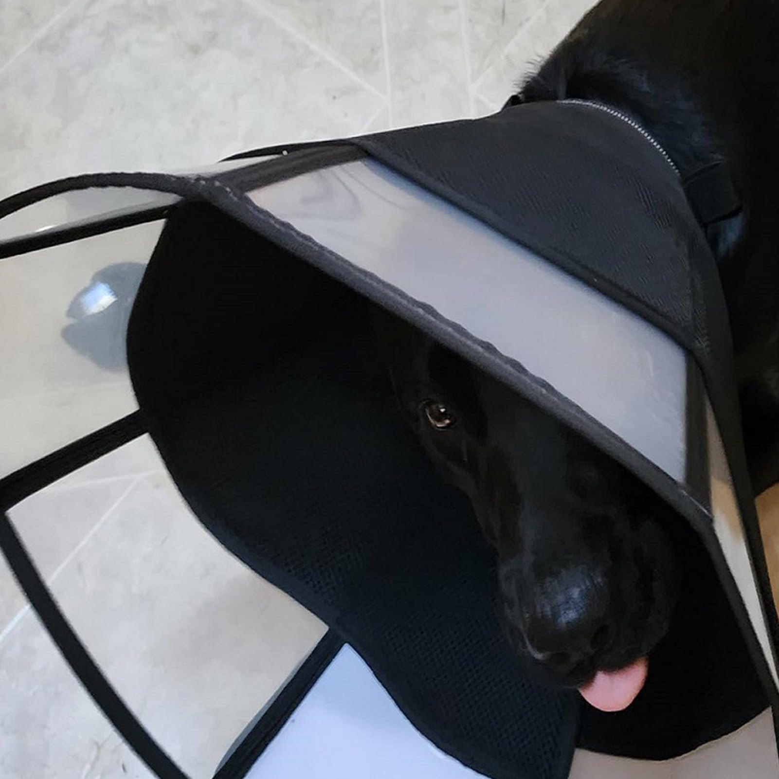 Cono Per Cani Piccoli - Guardia Protettiva Regolabile Anti-Leccamento - Cono Traspirante | Per La Protezione Delle Ferite La Cura Del Collo E La Gestione Della Salute Del Vostro Cane