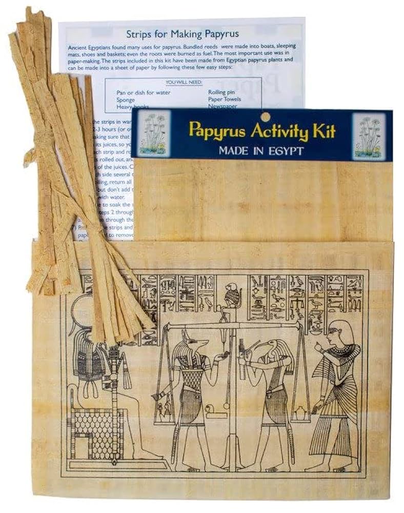 Amazon.co.jp: Papyrus アクティビティキット 教育用パピルス