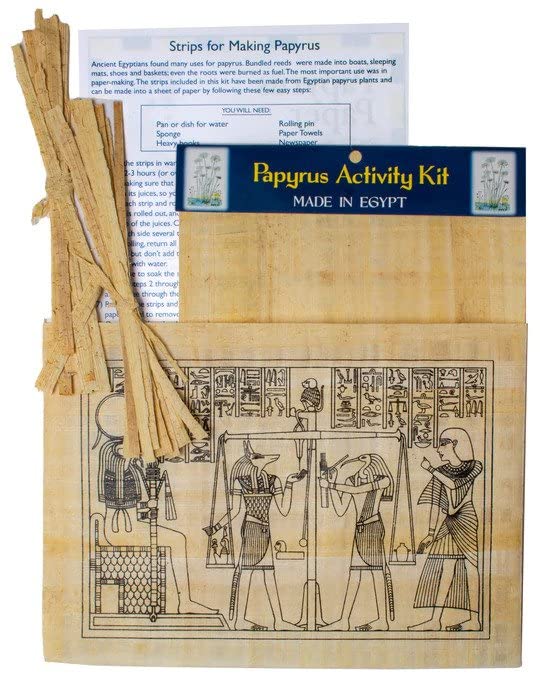 Amazon.co.jp: Papyrus アクティビティキット 教育用パピルス