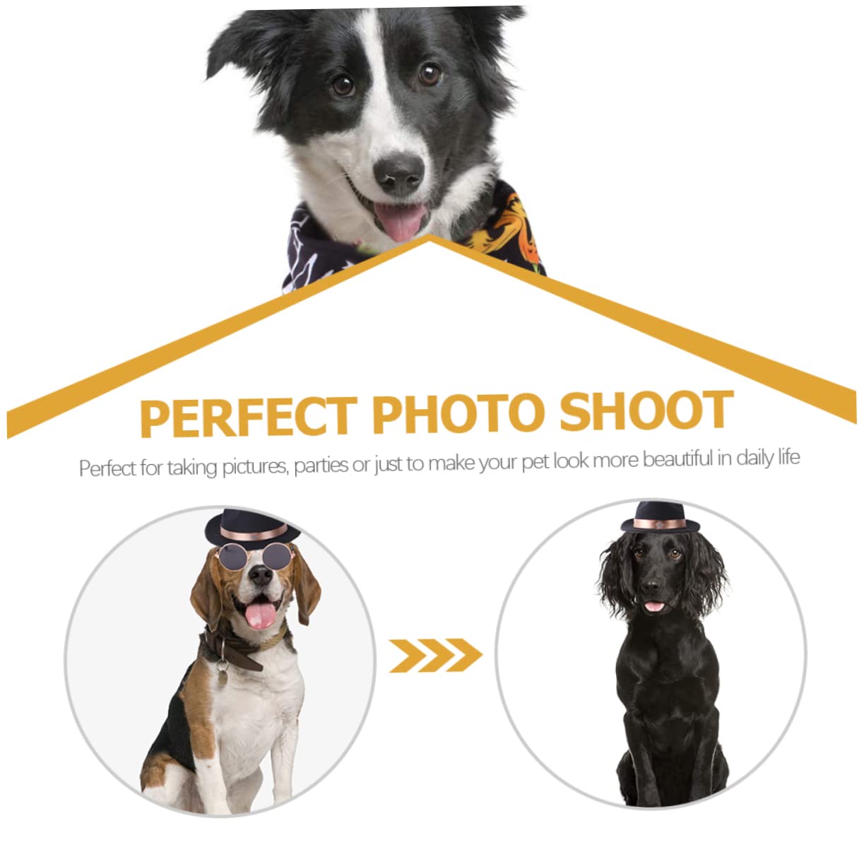 SUPVOX 5 Ensembles Chapeau d'halloween Accessoires D'habillage pour Animaux De Compagnie Bandana pour Chien Accessoires d'halloween Lunettes De Chien Casquette pour Polyester