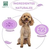 Ver la foto 7
