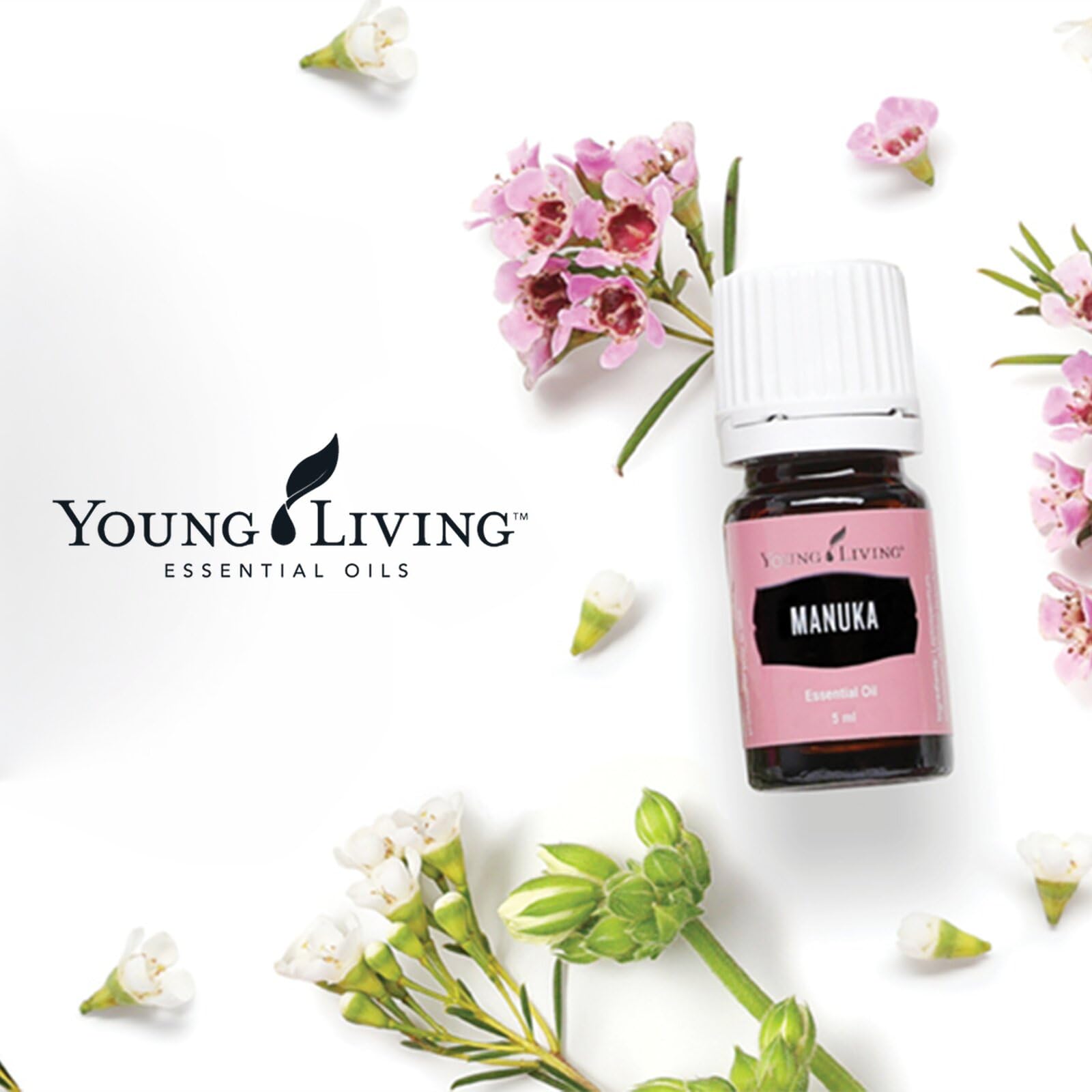 Amazon.com: Young Living Manuka Essential Oil | 5 ml