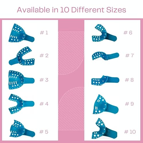 Miniatura 5 de Bandejas dentales perforadas desechables de impresión bolsa de 12 piezas (# 6 pequeño inferior)