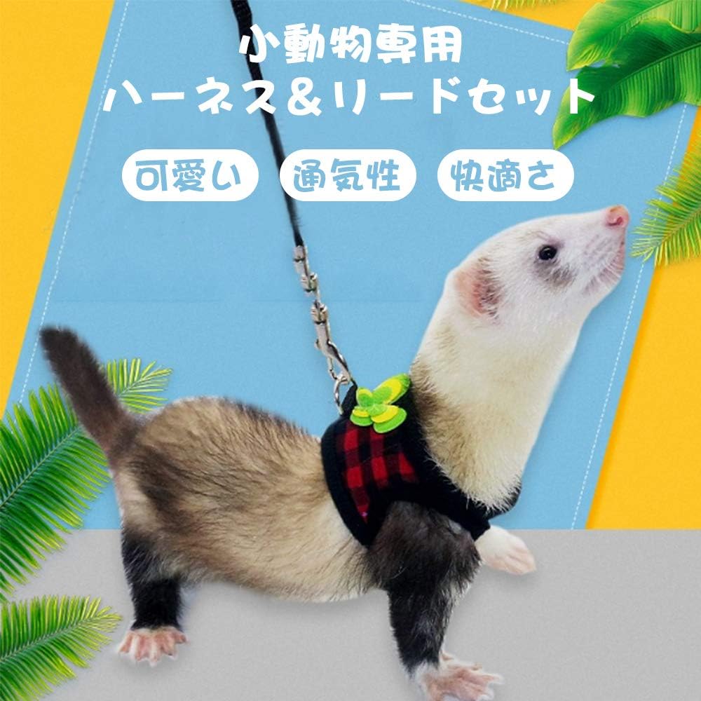 Amazon Icouchi 小動物用 ハーネス ハムスター フェレット モルモット ウサギ用 リード 可愛い チェック柄 星柄 胡蝶 ソフト 着脱簡単 調節可能 通気性 お散歩 お出かけ Icouchi 首輪 ハーネス リード 通販 Amazon Icouchi 小動物用 ハーネス ハムスター フェレット モルモット ウサギ用 リード 可愛い チェック柄 星柄 胡蝶 ソフト 着脱簡単 調節可能 通気性 お散歩 お出かけ Icouchi 首輪 ハーネス リード 通販