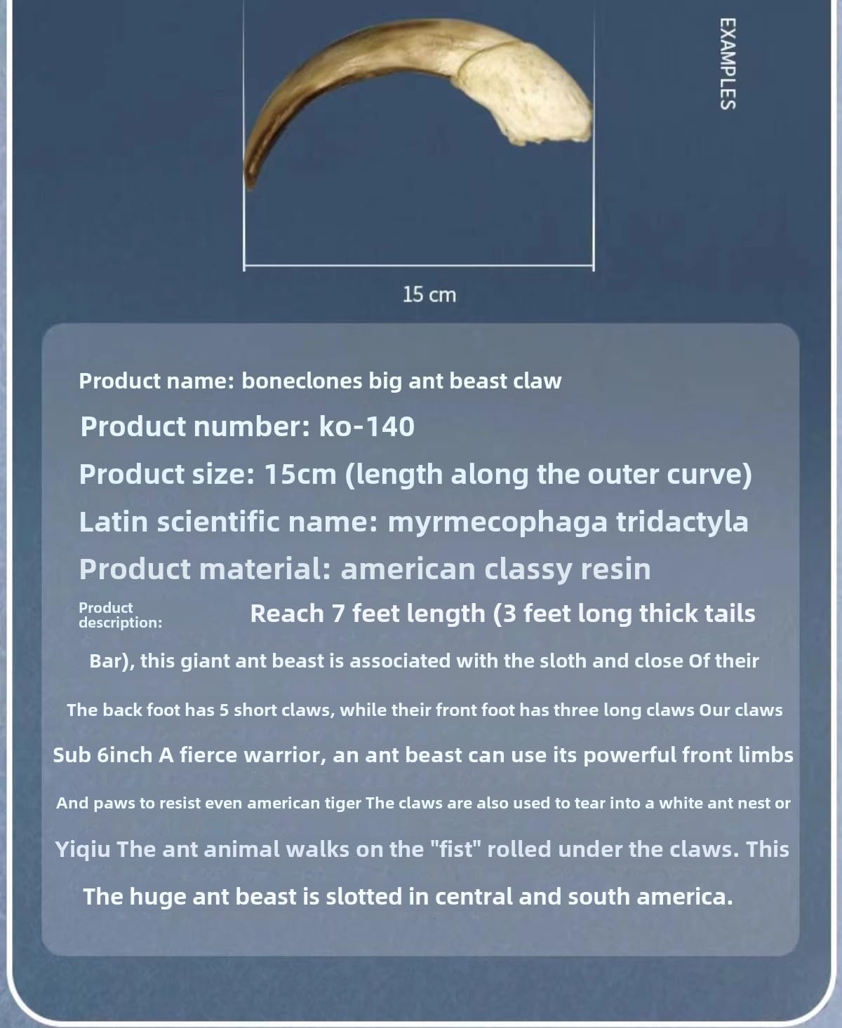 Fossilized Teeth and Claws of Various Prehistoric Dinosaurs, Megalodon Giant Shark,Smilodon Fossils Replica for Scientific Educational,Collection and Decoration (Giant Ant Claw)