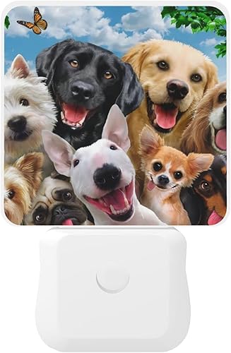 Miniatura 9 de Linda luz nocturna para perros con enchufe decorativo de pared con sensor inteligente automático del atardecer al amanecer, lámpara de noche LED