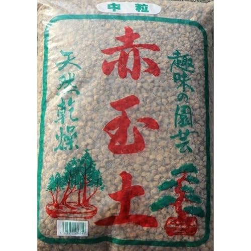 yHV|zԋʓy  18bg 1ܔ̔