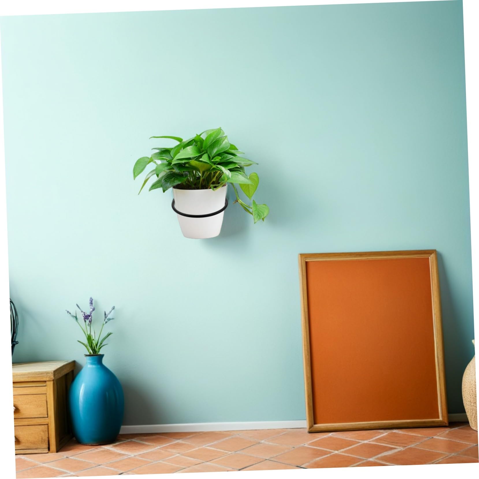 6 Juegos De Soportes Soportes De Pared para Macetas para Macetas para Plantas Color Negro
