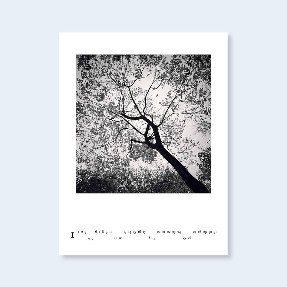 Michael Kenna『Love in Black and White』 Black and White Photography | Michael Kenna Focused 10 | Vol