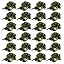 24-pack Woodland