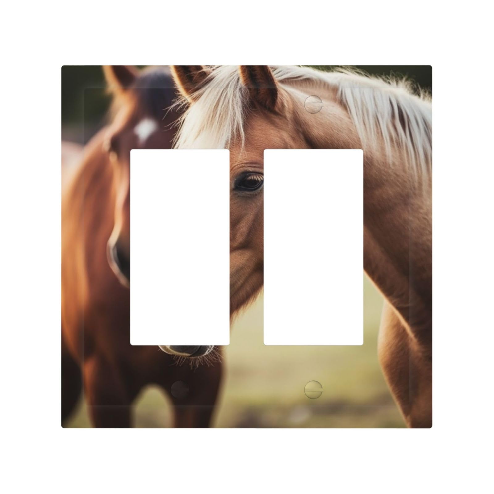 Decorator Double Toggle Light Switch Covers Adorable Horse Wall Plate 2-Gang Mid Size 5" x 4.9" Double Toggle Switch Wallplate Decorative 2 Gang Wall Switch Plate Covers