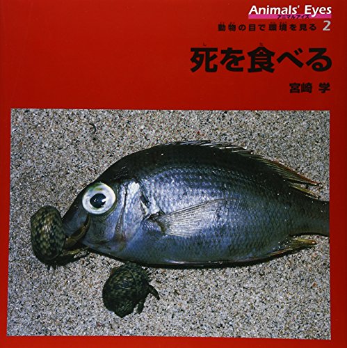 希少 宮崎学 7冊セット 写真集 動物写真 宮崎学 写真集 帯付き「死