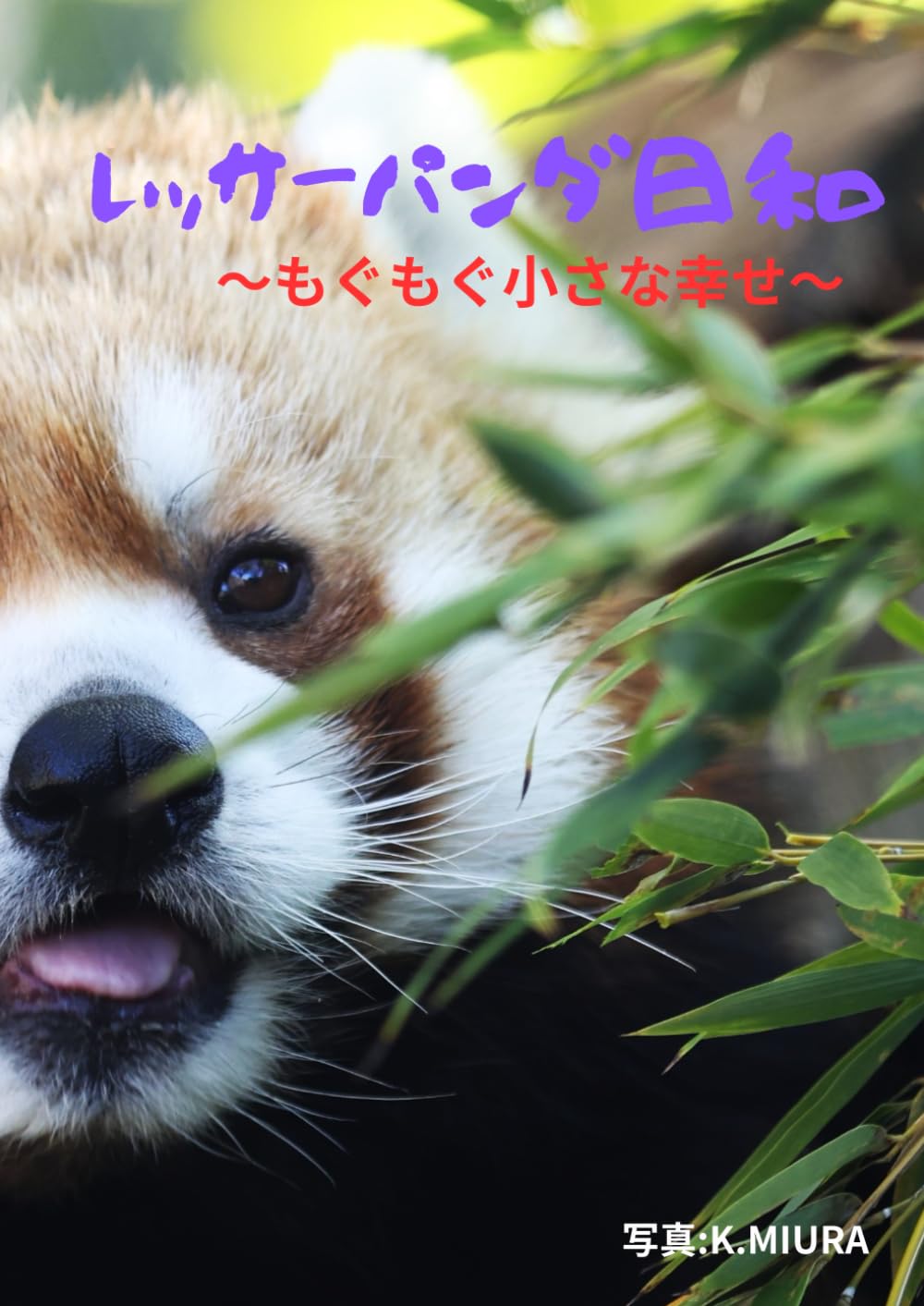 レッサーパンダ日和: 〜もぐもぐ小さな幸せ〜