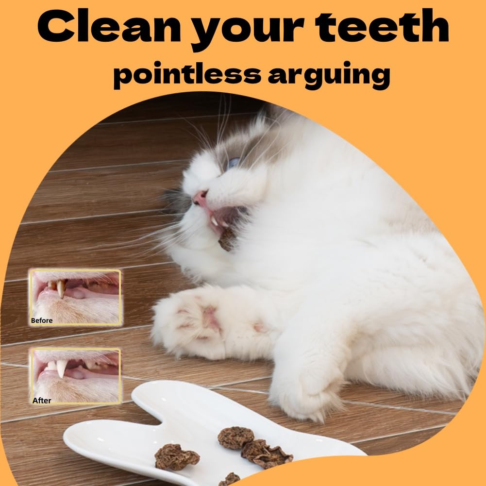 Frutas Matatabi,20pcs Juguetes para Gatos para Limpieza de Dentición,Cat Teething Toys,Snack Gatera para Limpiar Dientes