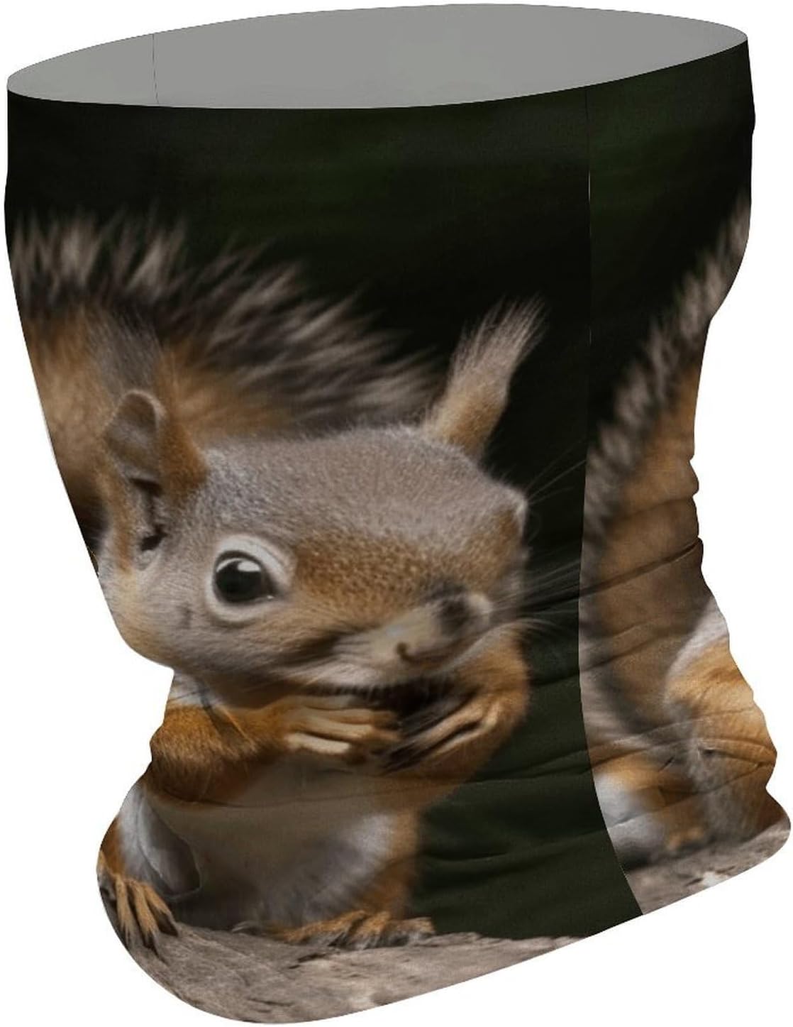 Sun UV Protection Neck Gaiter Upf 50+ Balaclava Ski Squirrel Animal Face Mask Summer Face Cover Scarf Breathable Bandana for Fishing Hunting Kayaking Hiking Cycling Outdoor Activities