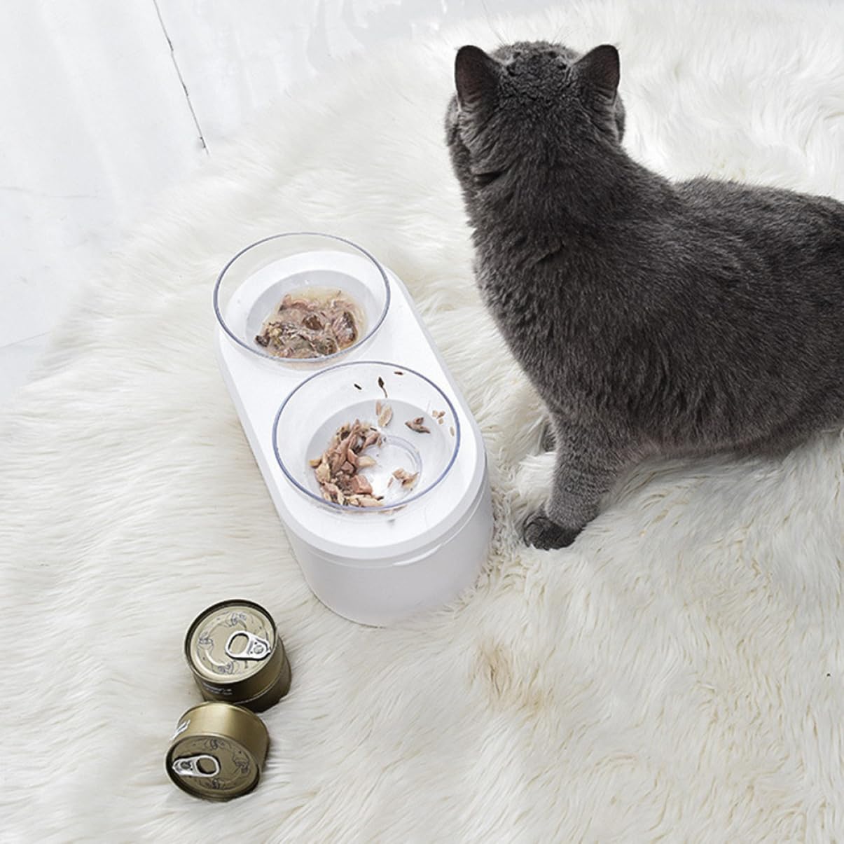 Ciotola Per Gatti Bocca Obliqua e Regolabile Base Antiscivolo Per Alimentazione Stabile Per Cibo e Acqua Sicura Preoccupazioni