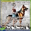 Lubricating Gel Eye Drops 15ml with Hyaluronic Acid 0.4% & L-Carnosine for Pets Cat&Dog Moisturizer Soothes Dryness and Irritation & Itchy, Daily Use to Relieve Dry Eyes & Сataract, Artificial Tears