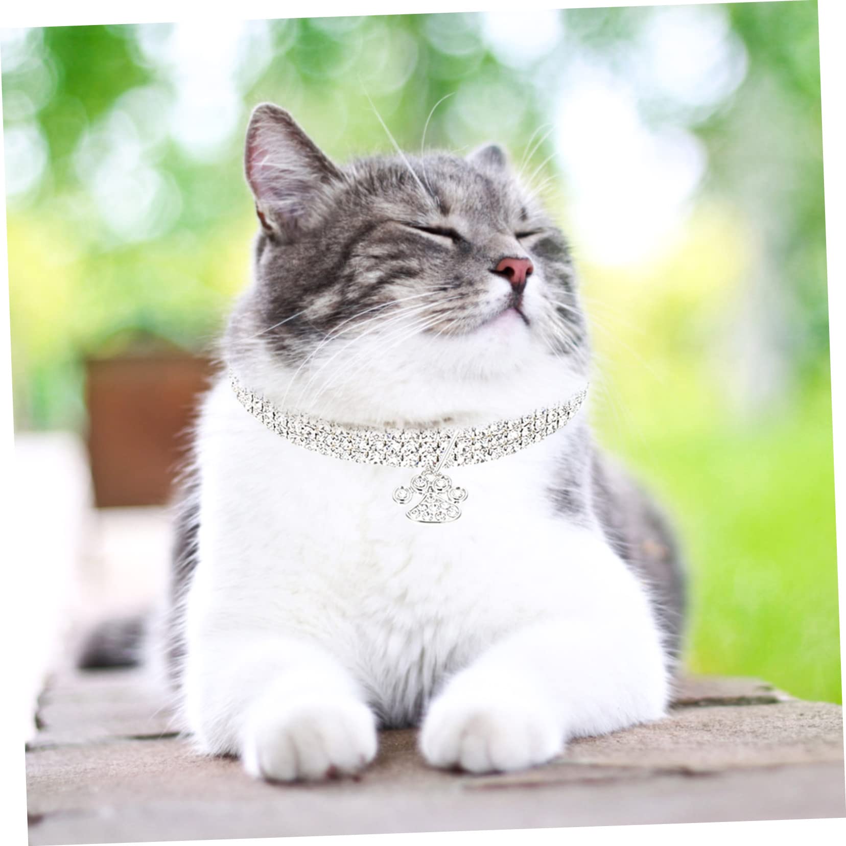 Angoily 9pezzi Collana Decorativa Per Animali Domestici Di Rhinestone Di Collari Resistente All Usura Per Cani e Gatti Accessori Eleganti Per Occasioni Speciali