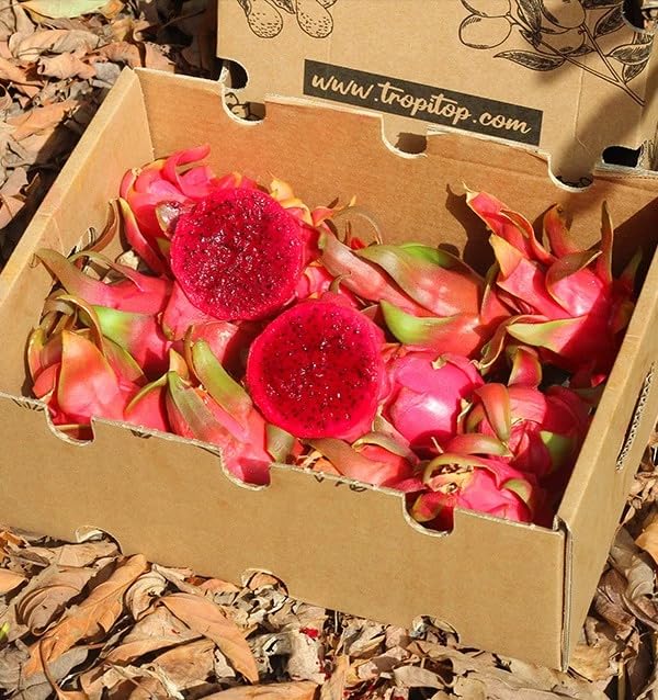 Pitahaya Púrpura 2kg Fruta Fresca Producción Local Castellón España Pitaya Rosa Fruta del Dragón