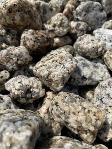 伊勢砂利, 日本庭園用玉砂利, 2分〜8寸サイズ, 20kg (茶, 1寸 : 約30mm)