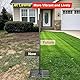 Rasen Nivellierungsrechen mit Stiel 190cm, Faltbar Lawn Leveling Rake 76 x 25cm, Rasenrechen Nivellierrechen, Rasen Rakel, Nivellieren Rasenplanierrechen Rasen für Hof, Garten, Golfplatz